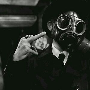 Meet your Posher, Ginger